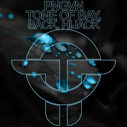 PNGVN - Back : Tone Of Bay : Hijack [TOT117]